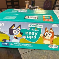 Pampers Training Underwear