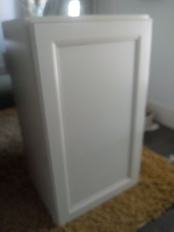 Cabinet 18×30