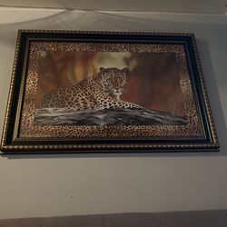 50” Cheetah Picture