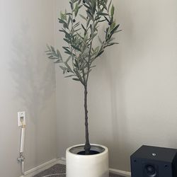 Fake Olive Tree Plant And Pot