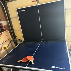 Ping Pong Table 