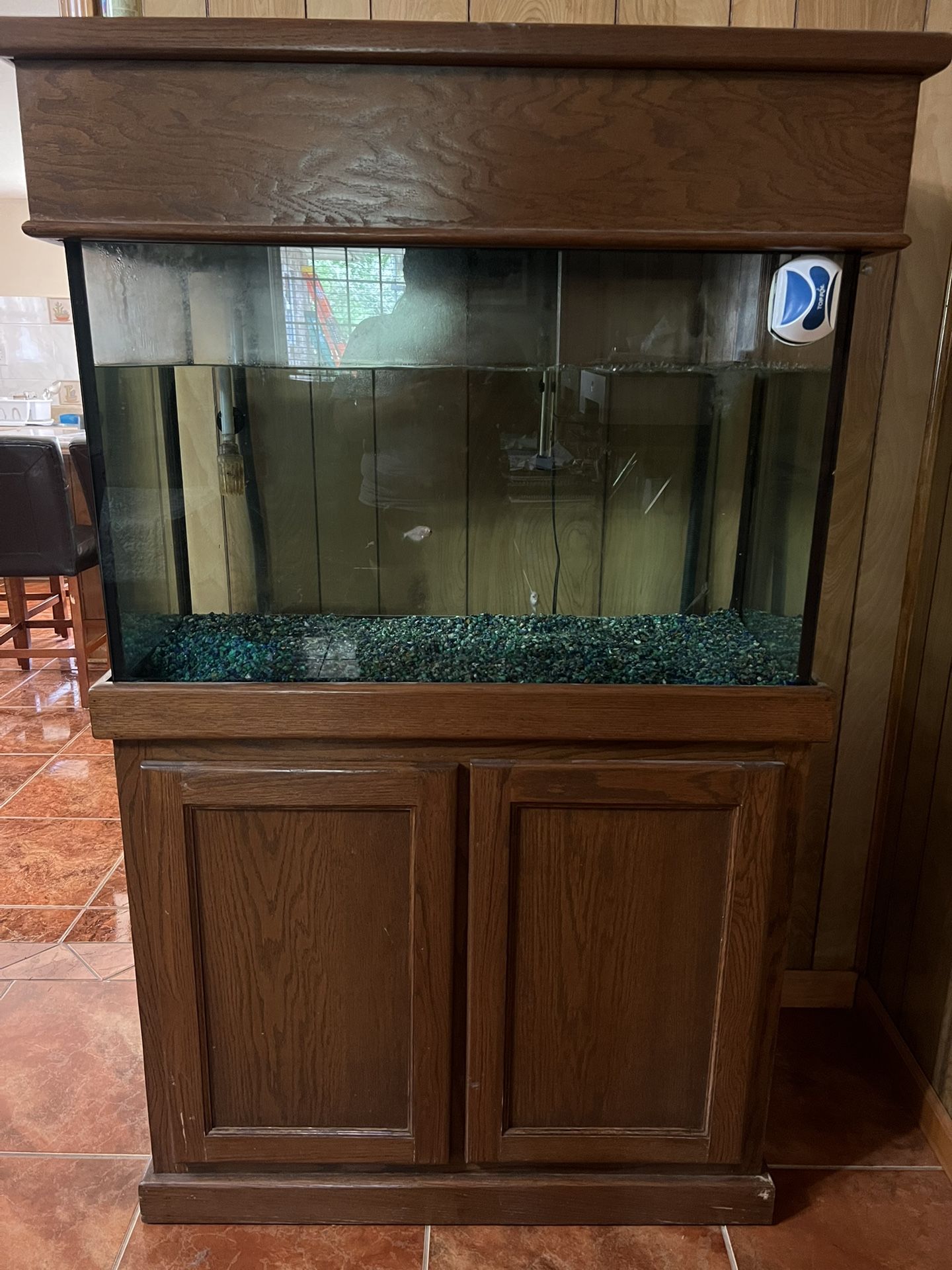 Fish Tank