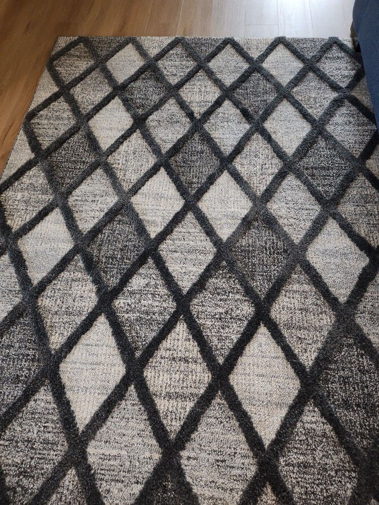 5x7 Area Rug