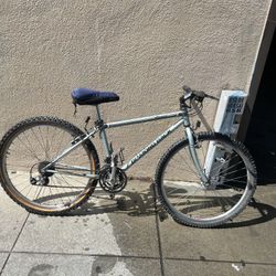 Diamond Back Ascent Road bike 1990s...light, functional, & classic