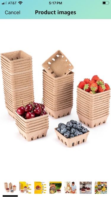60 Pack Pulp Fiber Berry Basket