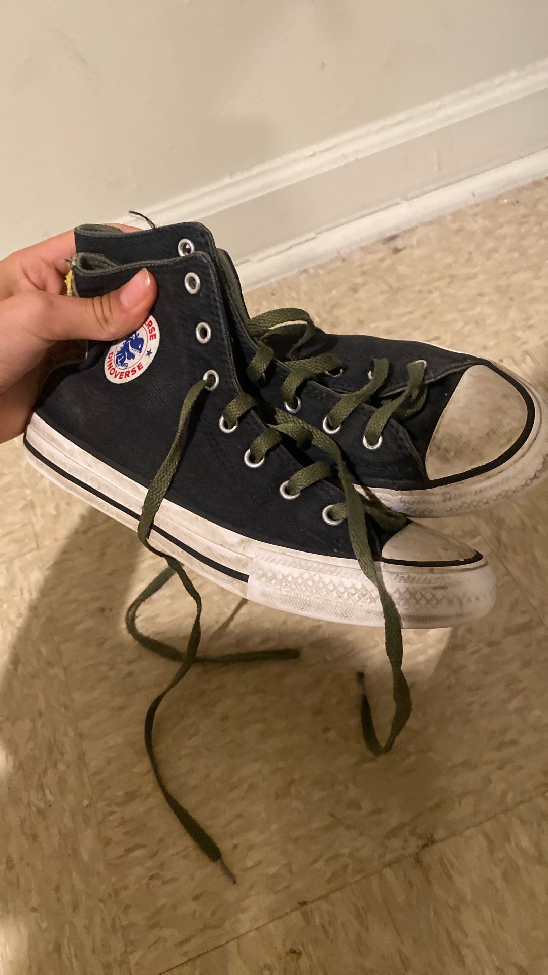 Dinosaur Shoes