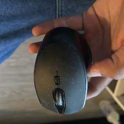 Computer Mouse 