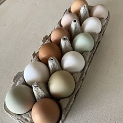 Fresh Free-Range Organic eggs from our Farm.