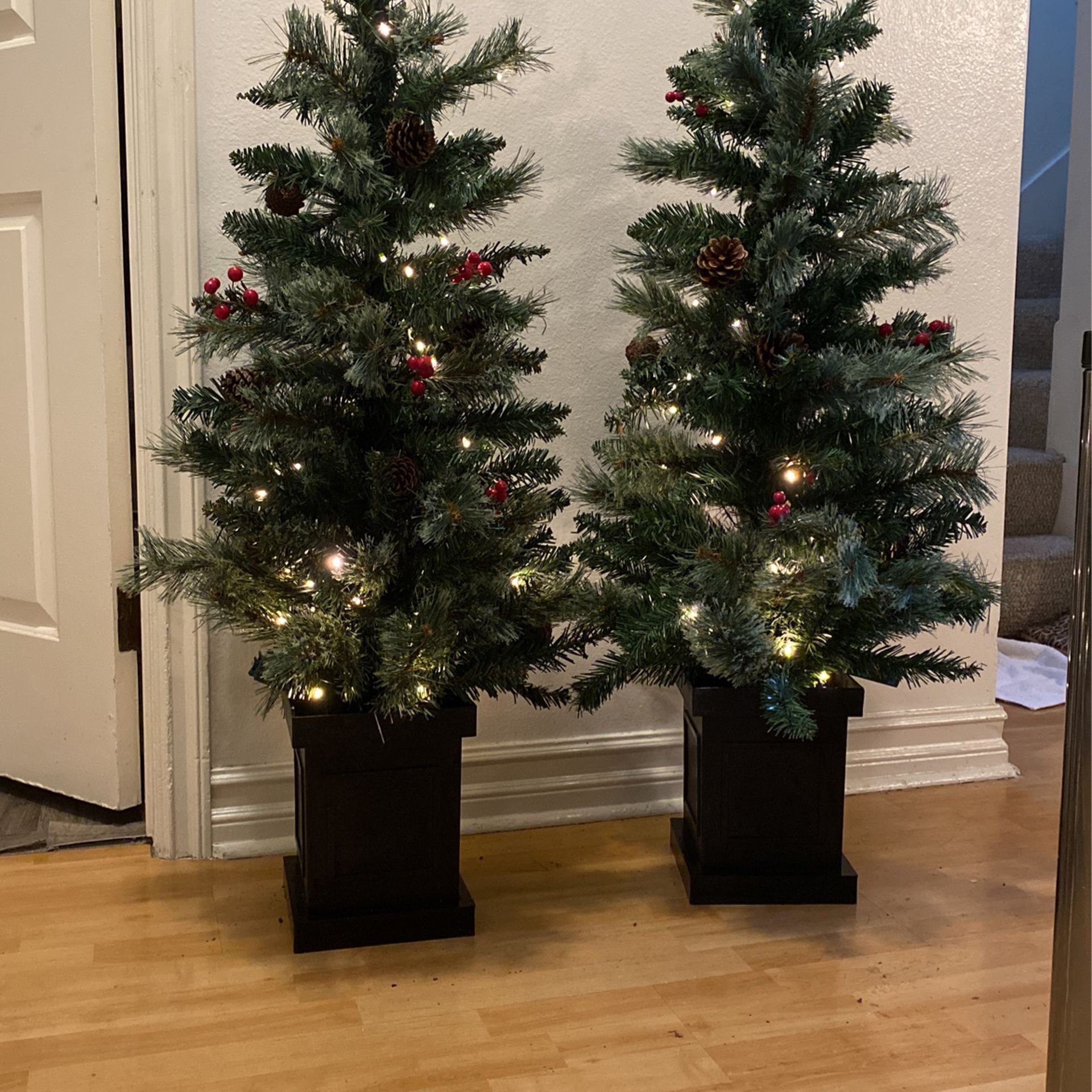 Potted Artificial Xmas Trees 