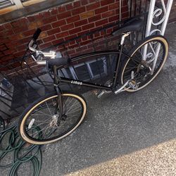 Linus Cruiser  -  Large