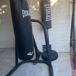 Everlast Boxing Heavy Bag And Little Bag 