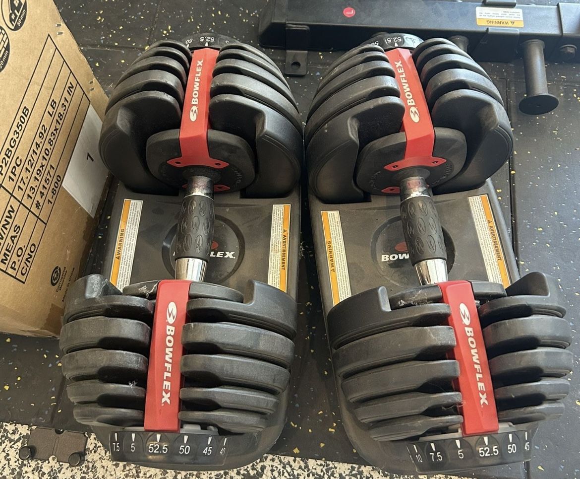 Bow flex Dumbbells 