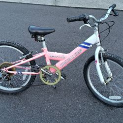 20" Specialized Hotrock Girls Mountain Bike 
