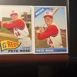 Pete Rose Topps 1964-19 77 Complete Set—RP