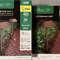 Walkway Lights. Sync And Remote Controlled 