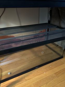 Reptile tank 40 Gallon