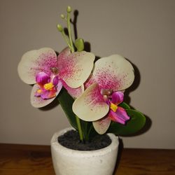 Beautiful Artificial Iris