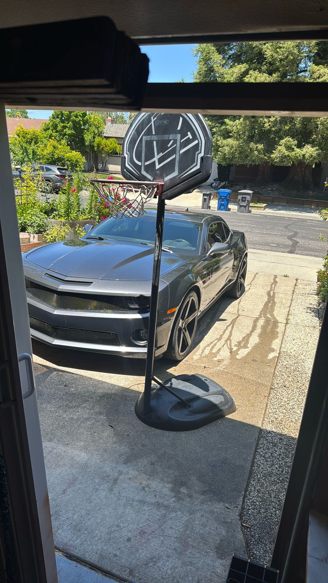 Lifetime 7.5 To 10’ Portable Basketball Hoop