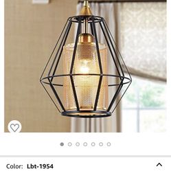 Light Fixture