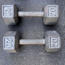 20lb Hex Cast Dumbbell Set