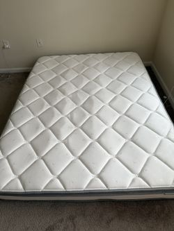 Queen Mattress 