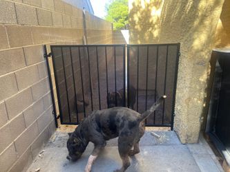 Dog Gate-fence  (iron)