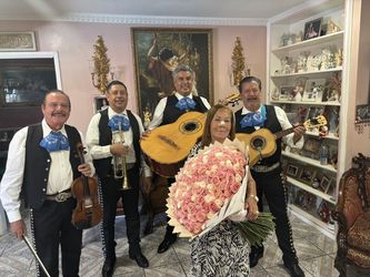 Mariachi Arpa Bajó 
