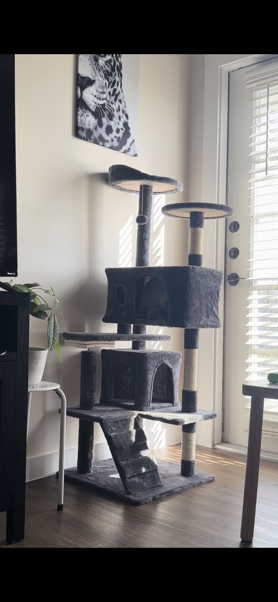 Kitty Tower