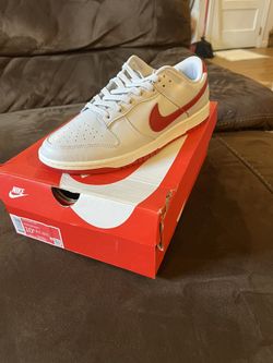 Brand New Size 10.5 Nike Dunk Low 
