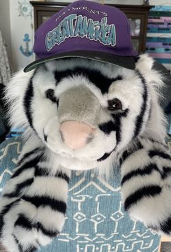 One Size Fits All Purple, Green, Black Paramount’s Great America Cap