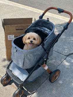 Brand new luxury dog stroller for $90