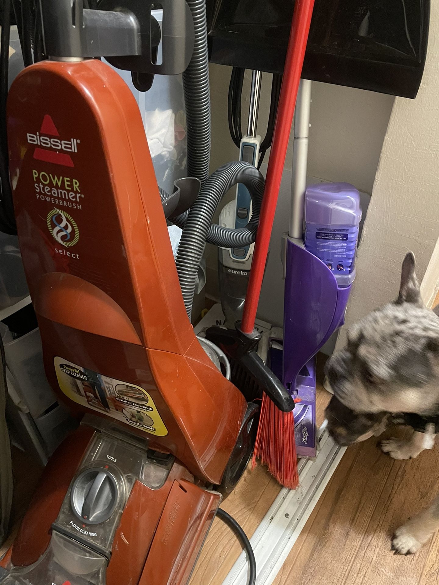 Bissel Steam Cleaner