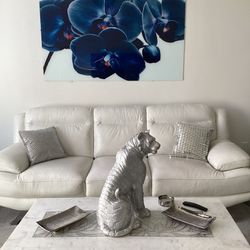 White Leather Couch, Frame, Coffee Table