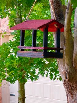 Unique bird feeders
