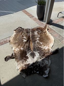 Cow Hide