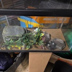 Reptile  Tank All Accessories  $75