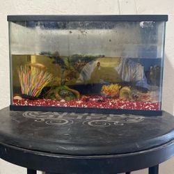 Fish Tank With 2 Fish