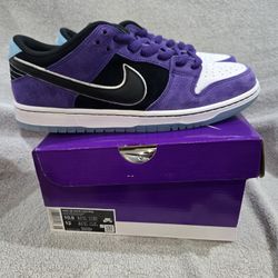 Size 10.5 Haley Wilson x Nike Dunk SB Low Court Purple  HJ0513-500 New Sold Out 