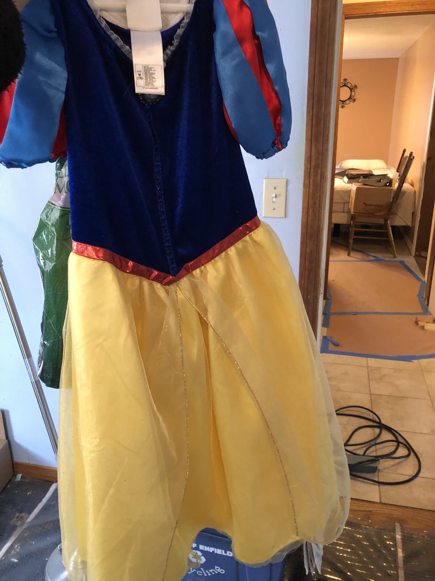 Disney Snow White costume