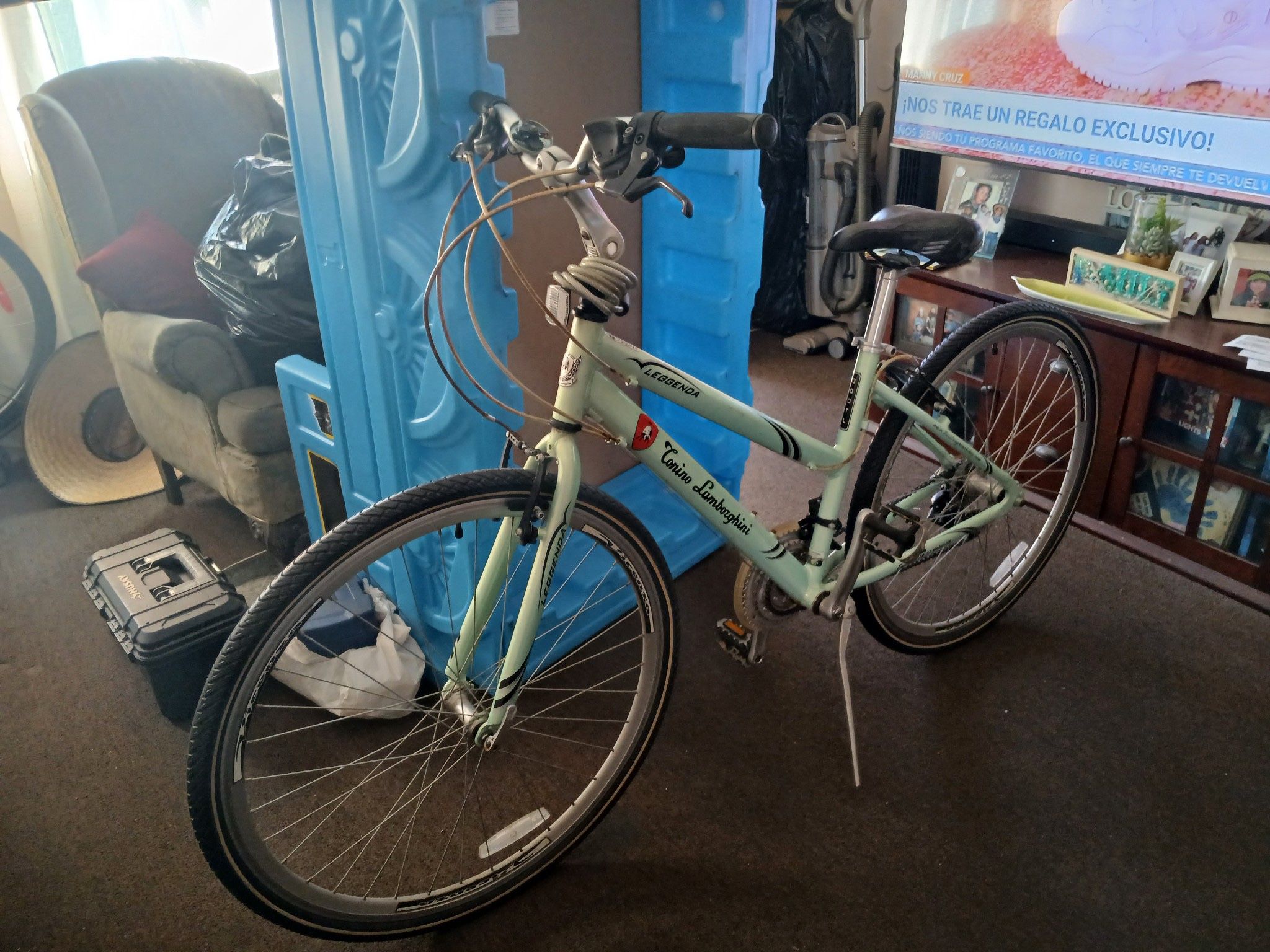 Bicycle Beach Cruiser
