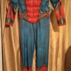 Halloween Costume Spider-Man