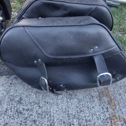 Harley Davidson Saddle bags 