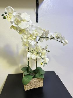 Artificial Orchid 