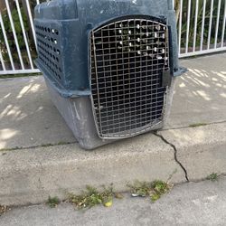 dog cage