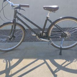 brooklyn bicycle.  co.     Willow.  8i.    disc