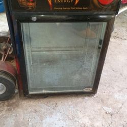 Mini Fridge 