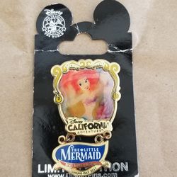 Disney pin 