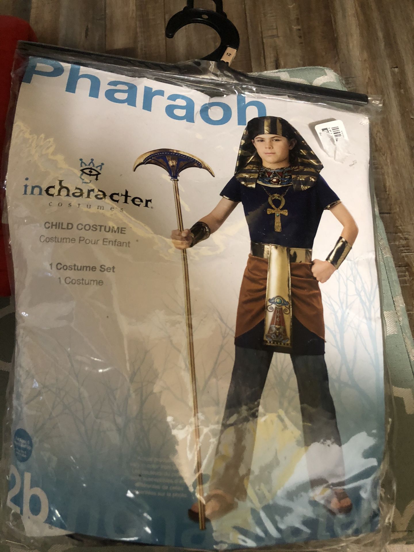 Pharaon child costume size 8-10