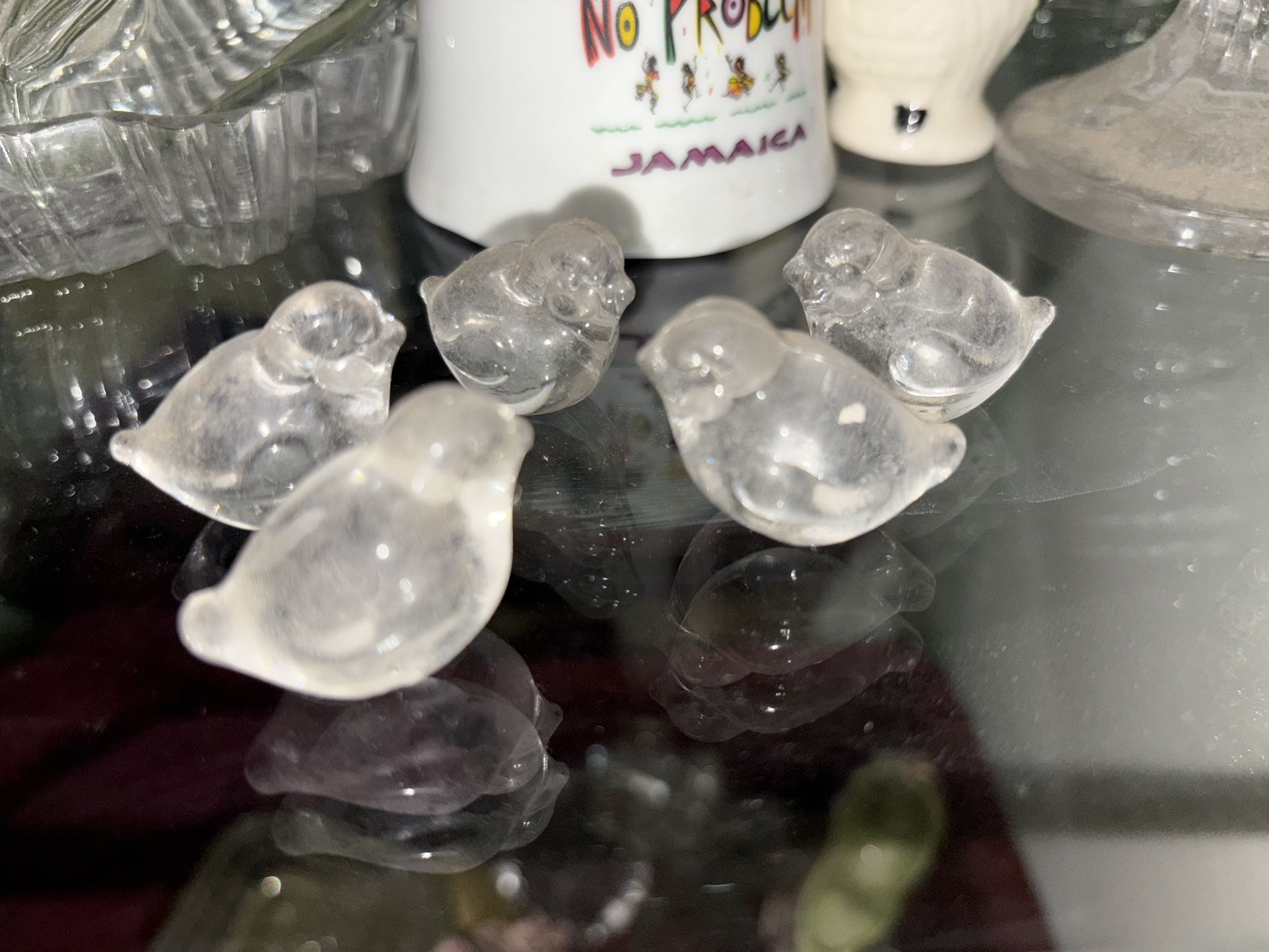 5 Glass Birds