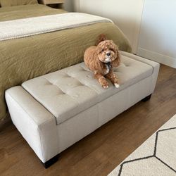 Ashley Ottoman with storage